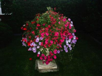 Jeff Tombs Landscaper Portfolio Image